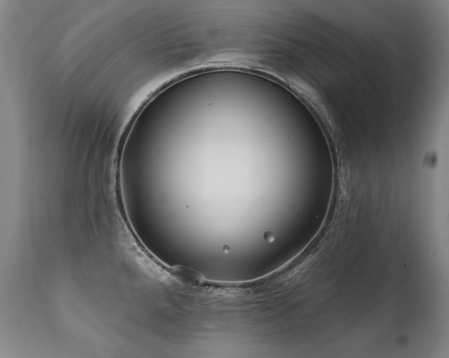 X0000112061288200908041205