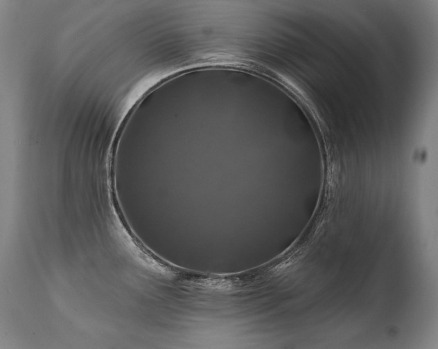 X0000112061291200908041205