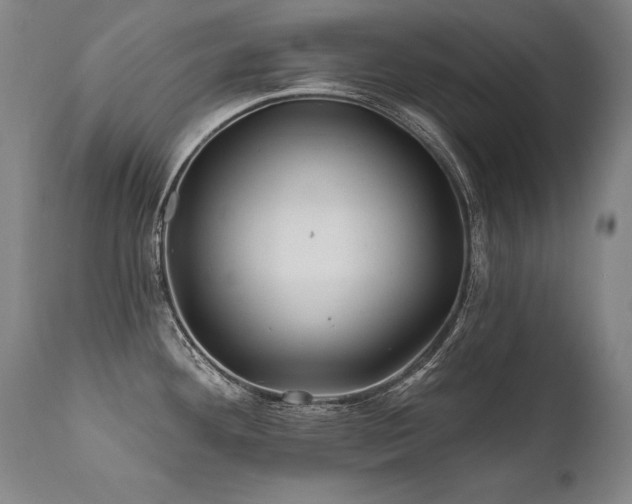 X0000112061292200908041205