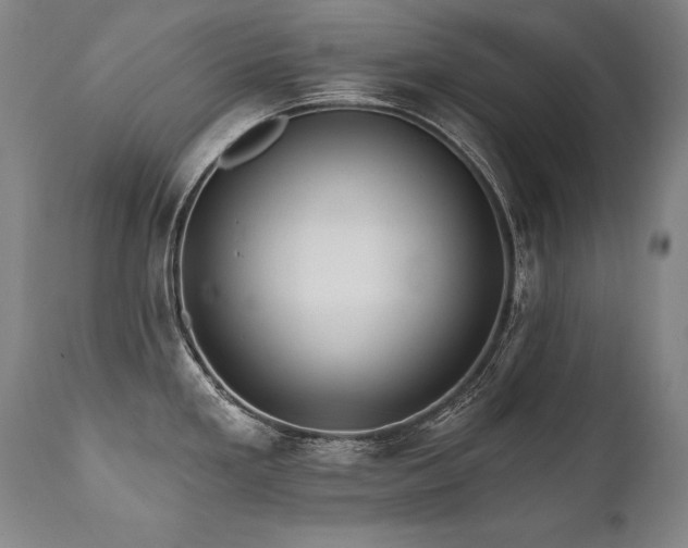 X0000112061293200908041205