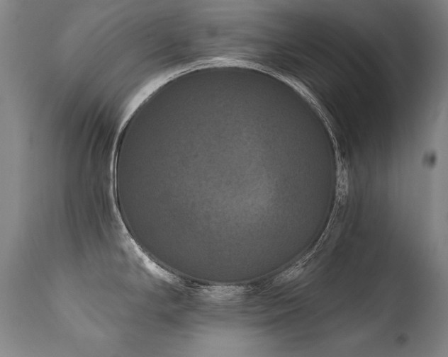 X0000112061294200908041205