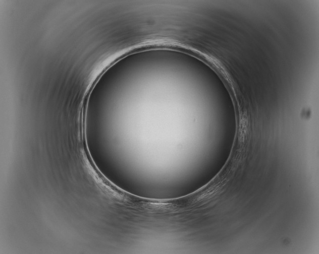 X0000112061295200908041205