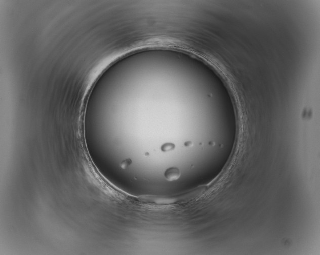 X0000112061296200908041205