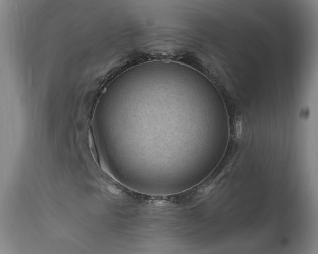 X0000112061297200908041205