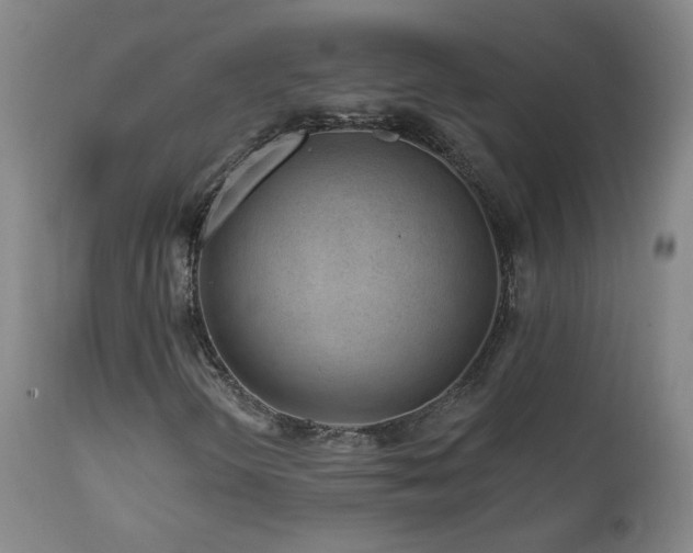 X0000112061298200908041205