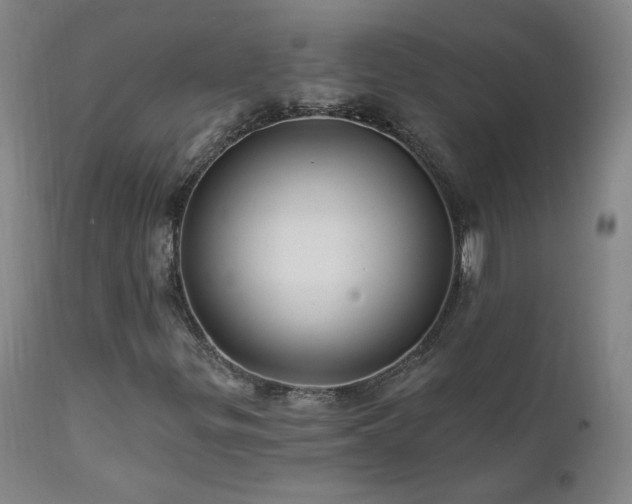 X0000112061299200908041205
