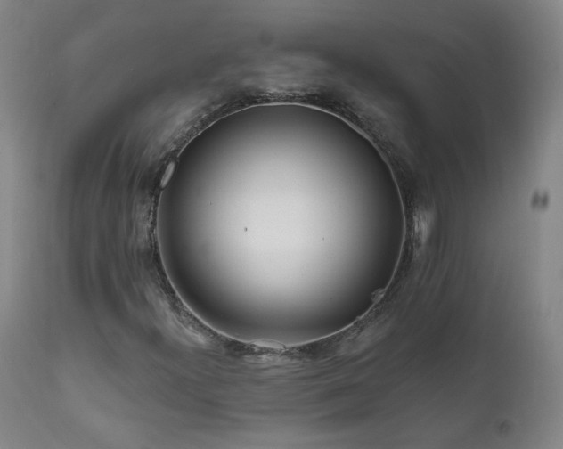 X0000112061300200908041205