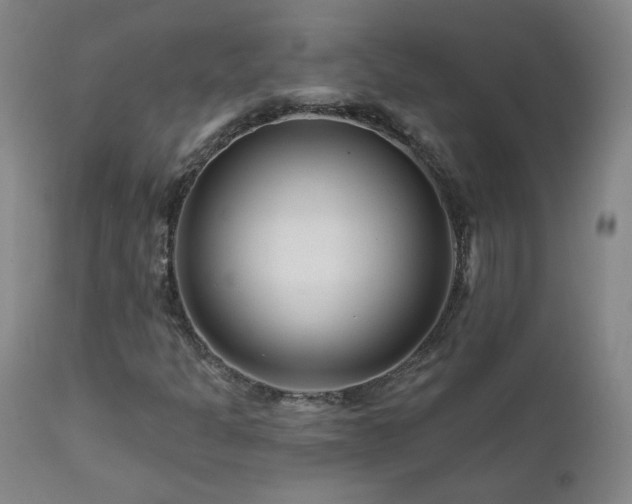 X0000112061301200908041205