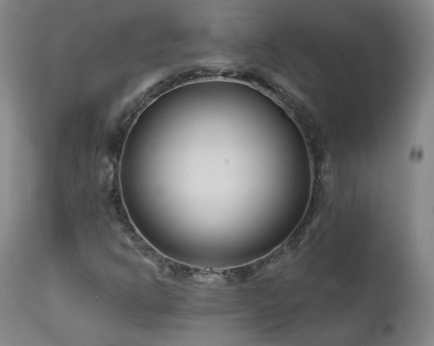 X0000112061302200908041205