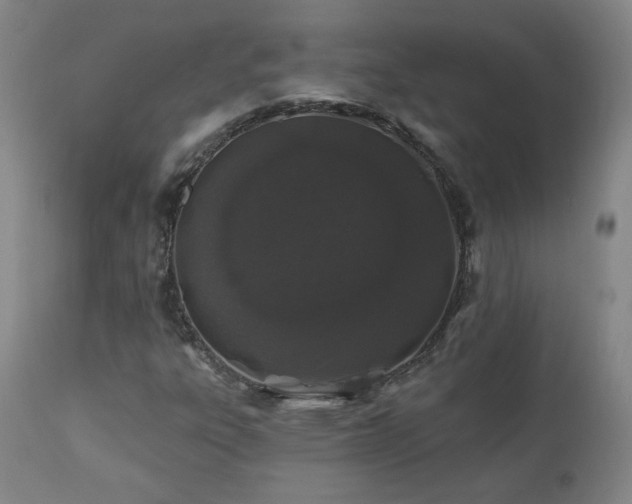 X0000112061303200908041205