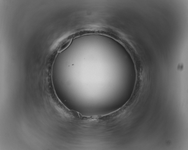X0000112061304200908041205