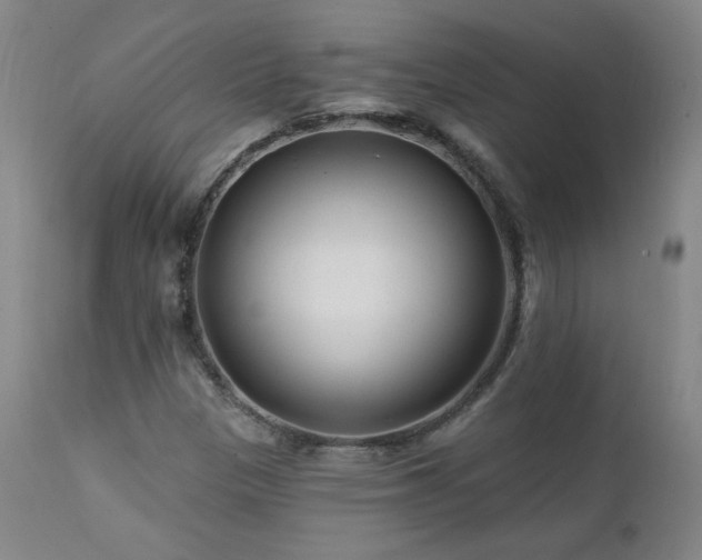 X0000112061305200908041205