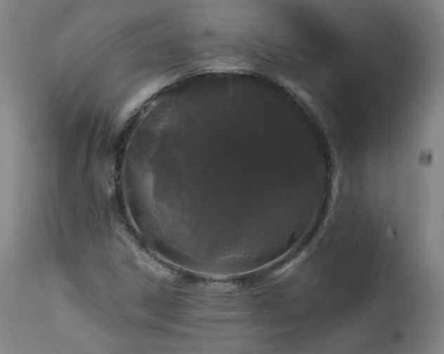 X0000112061306200908041205