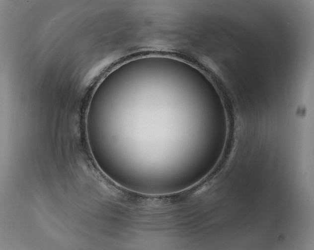 X0000112061307200908041205