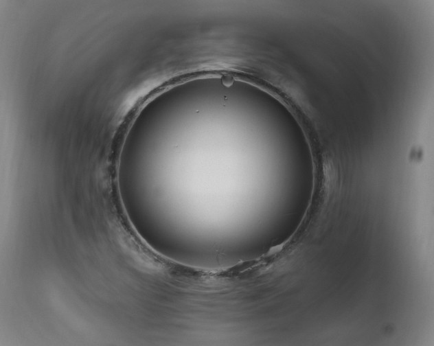X0000112061308200908041205