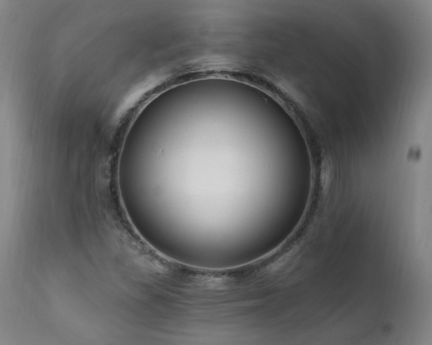 X0000112061309200908041205