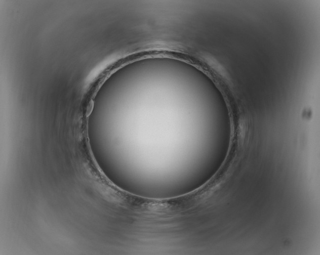 X0000112061310200908041205