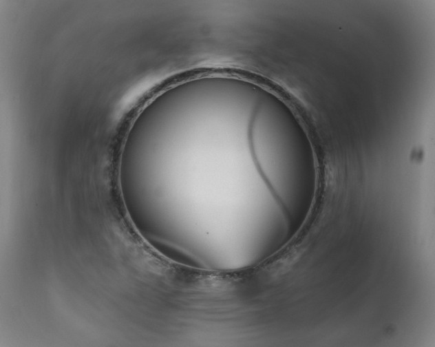 X0000112061311200908041205