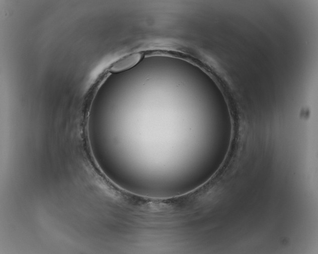 X0000112061312200908041205