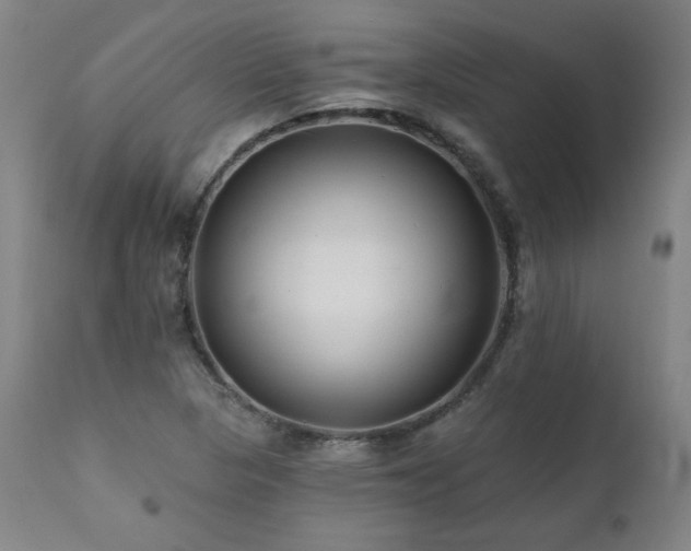 X0000112061313200908041205