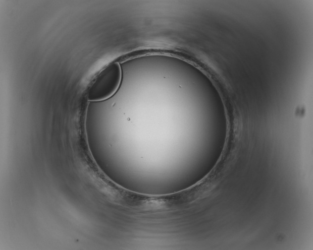 X0000112061315200908041205