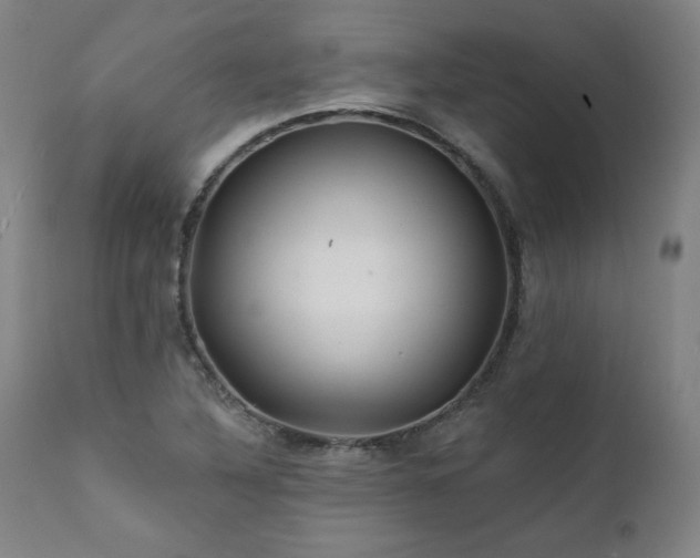 X0000112061316200908041205