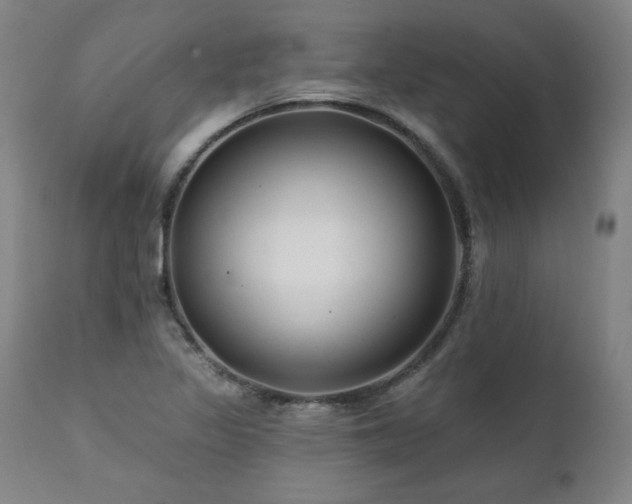 X0000112061317200908041205