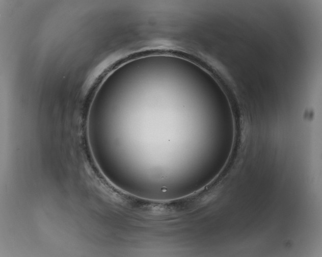 X0000112061318200908041205