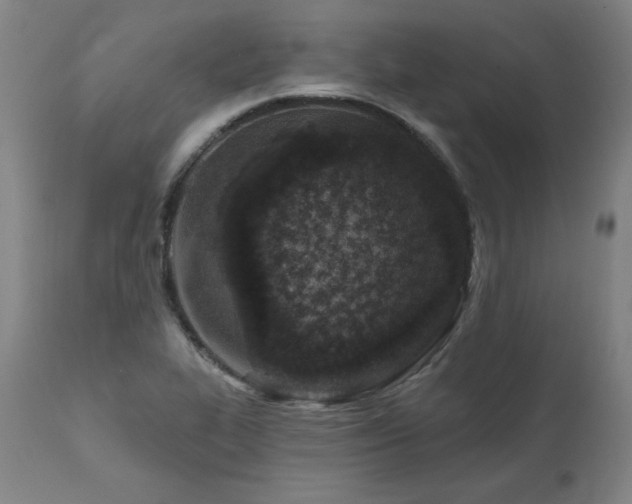 X0000112061319200908041205