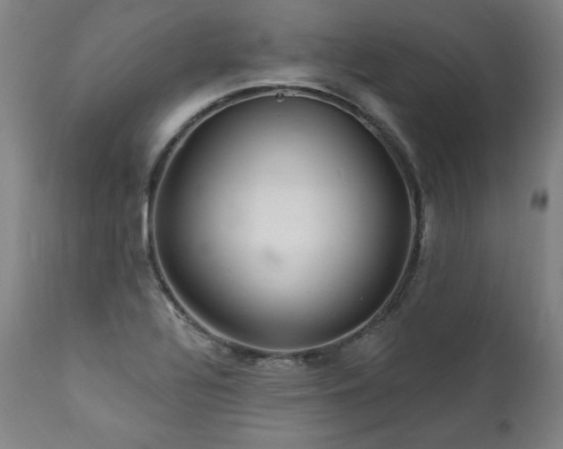 X0000112061320200908041205