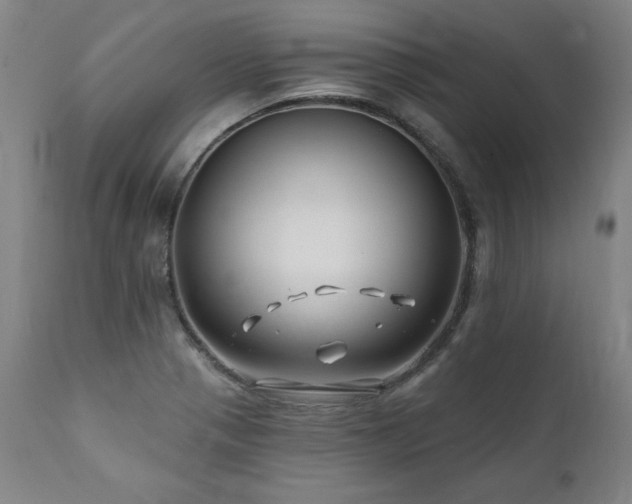 X0000112061321200908041205