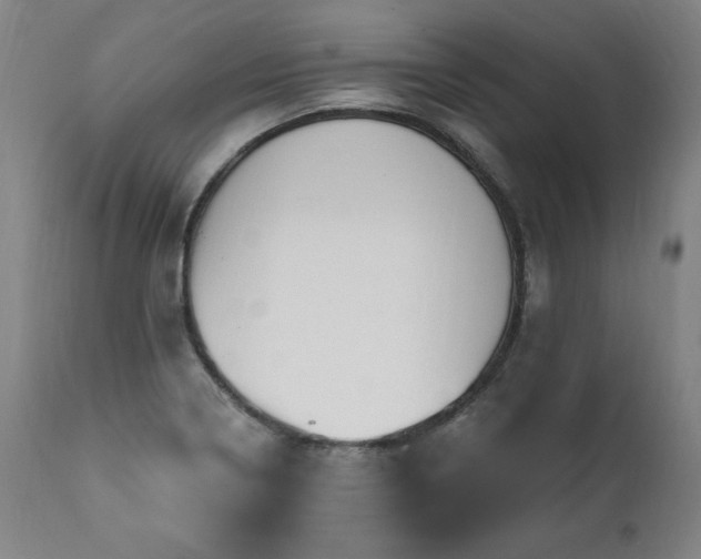 X0000112061322200908041205