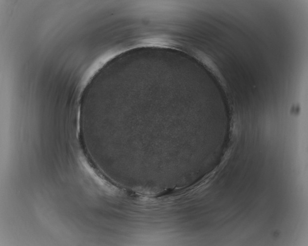 X0000112061323200908041205