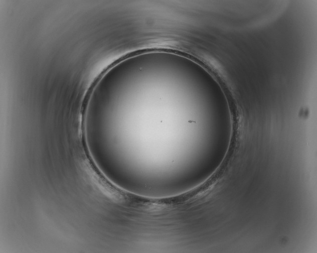 X0000112061324200908041205