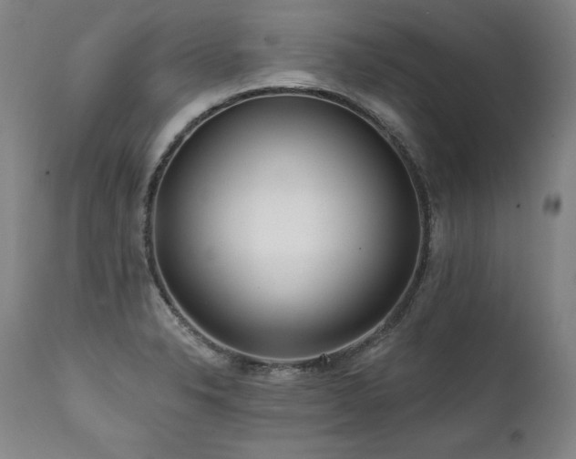 X0000112061326200908041205