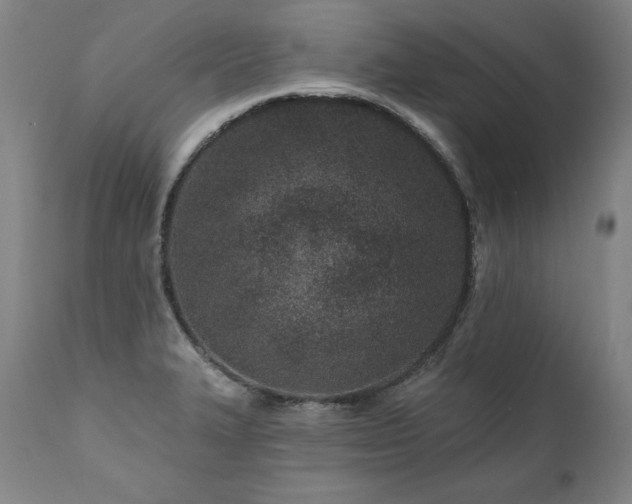 X0000112061327200908041205