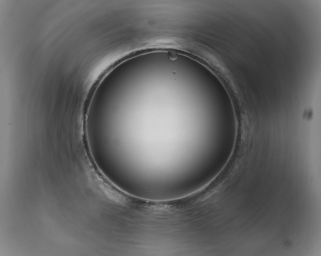 X0000112061328200908041205