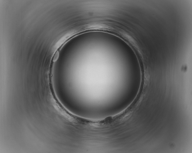 X0000112061330200908041205