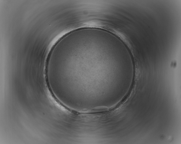X0000112061331200908041205