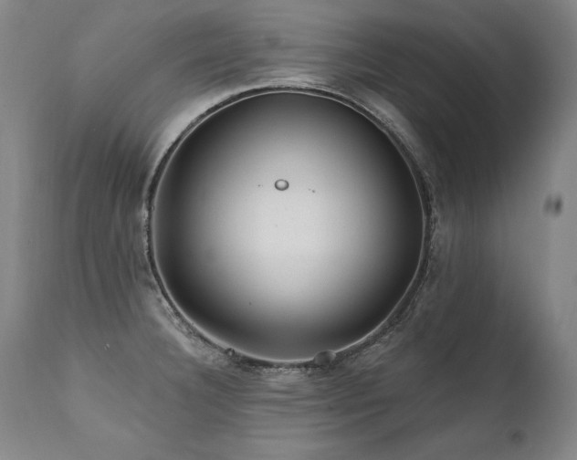 X0000112061332200908041205