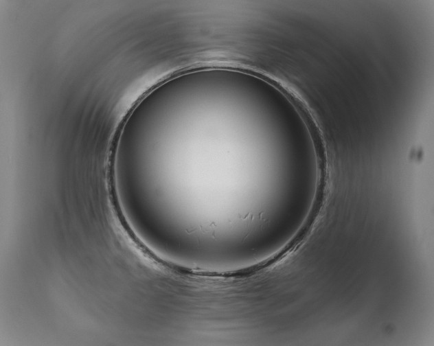 X0000112061333200908041205