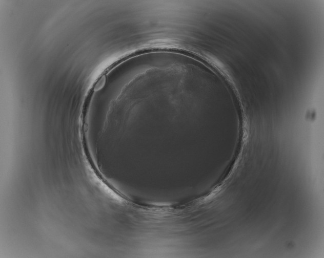 X0000112061334200908041205