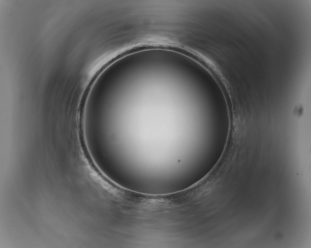 X0000112061335200908041205