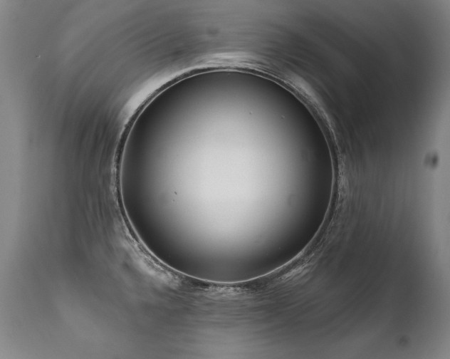 X0000112061336200908041205