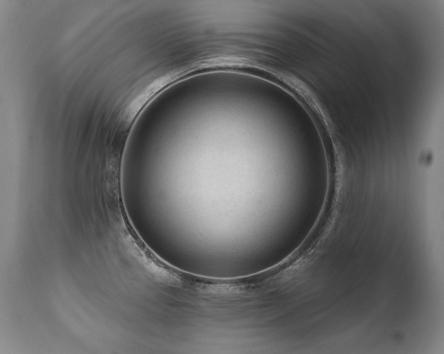 X0000112061337200908041205