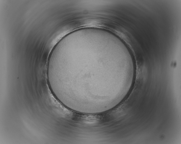 X0000112061338200908041205