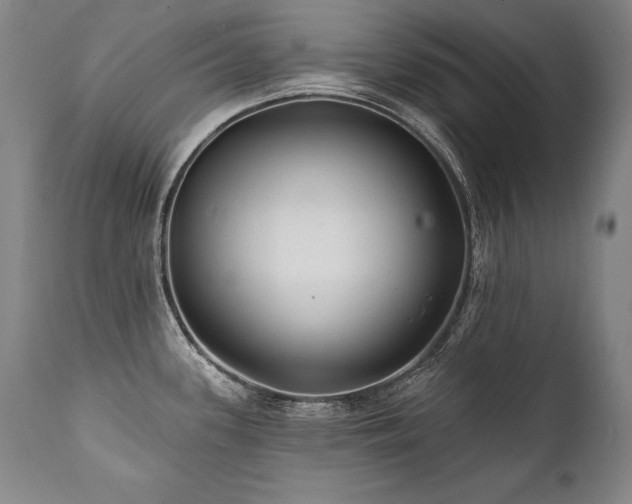 X0000112061339200908041205
