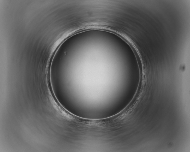 X0000112061341200908041205