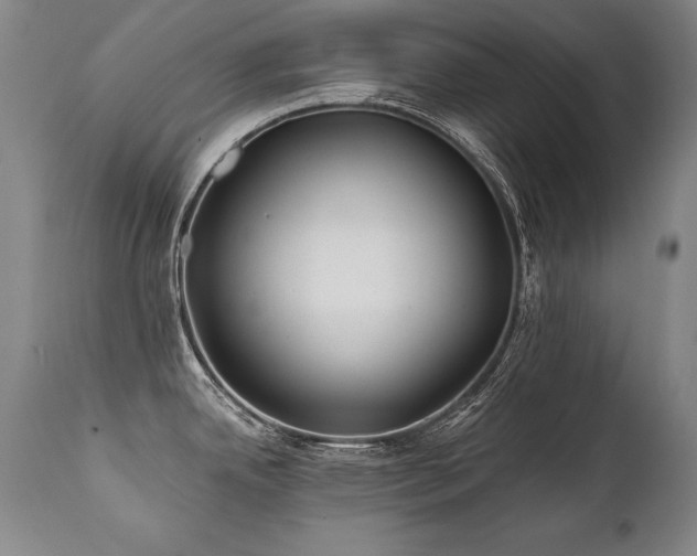 X0000112061342200908041205
