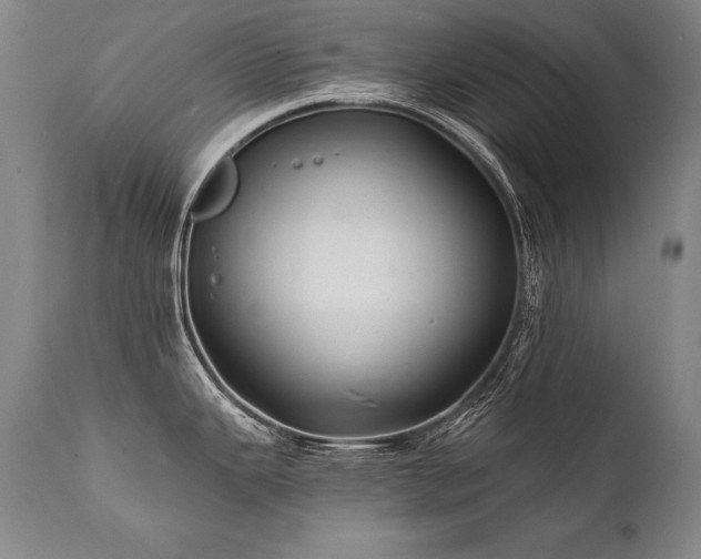 X0000112061343200908041205